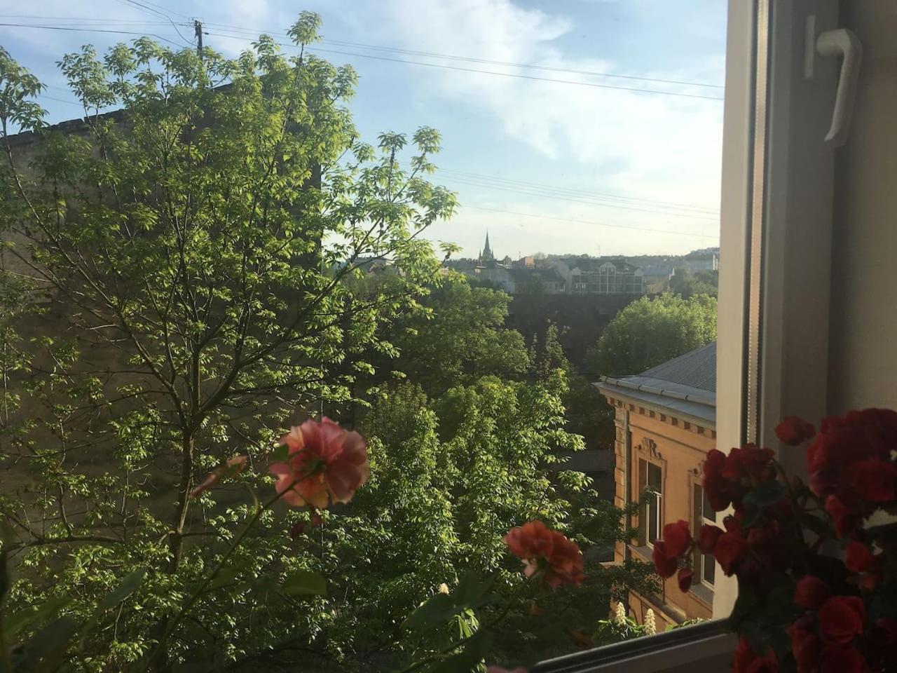 V&O Whitechocolateapt 800 M To Opera Lviv Luaran gambar